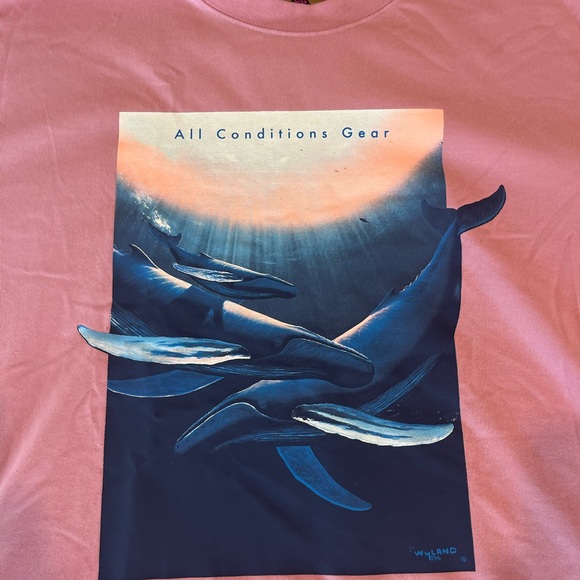 Nike ACG shirt Wayland whales 🐳 Short Sleeve Tee XXL - Picture 2 of 9